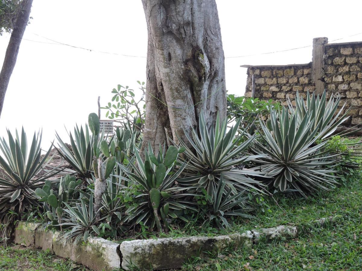 Diani Beachalets Exterior foto